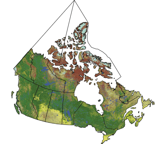 canadaalli.gif (69054 bytes)